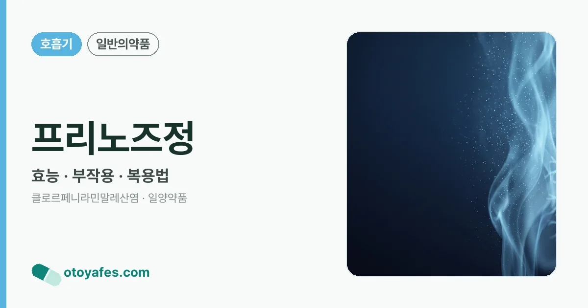 프리노즈정 정리 썸네일