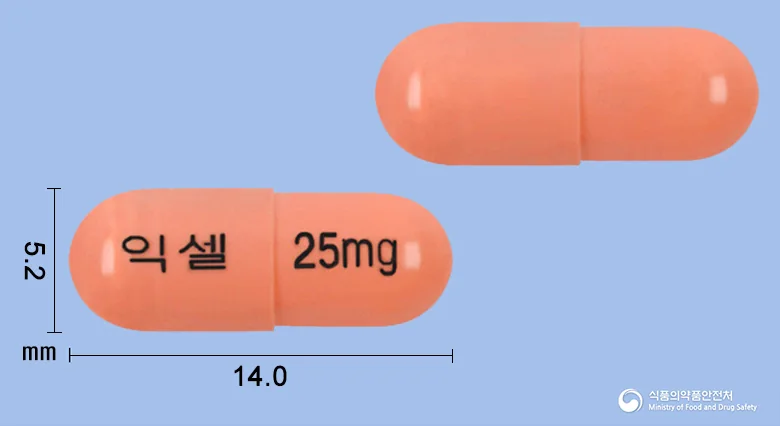 익셀캡슐25밀리그램 실물 사진
