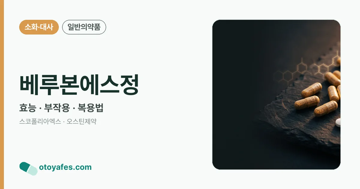 베루본에스정 정리 썸네일