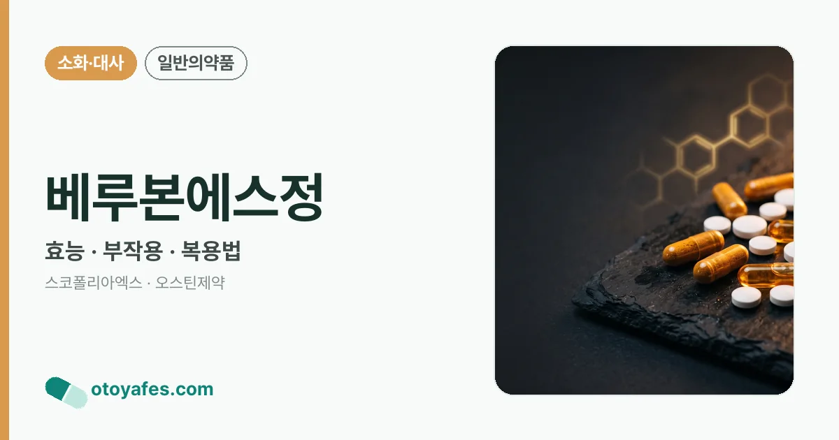 베루본에스정 정리 썸네일