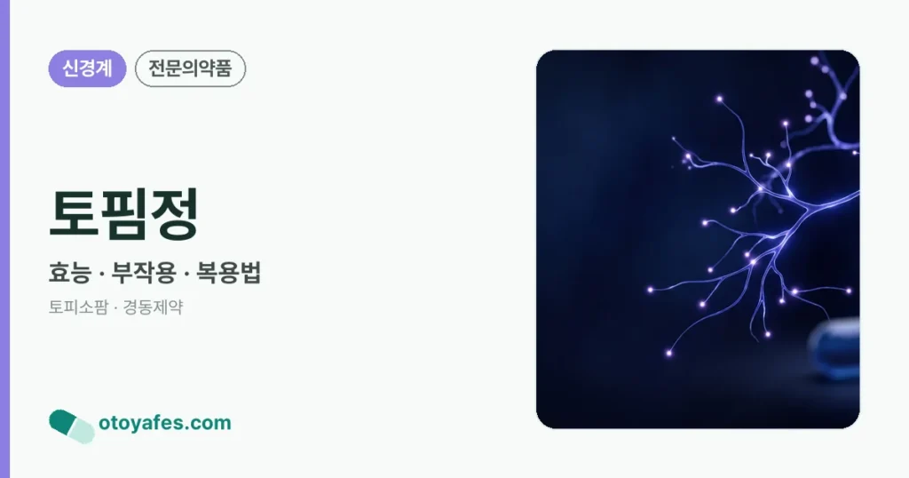 토핌정 정리 썸네일