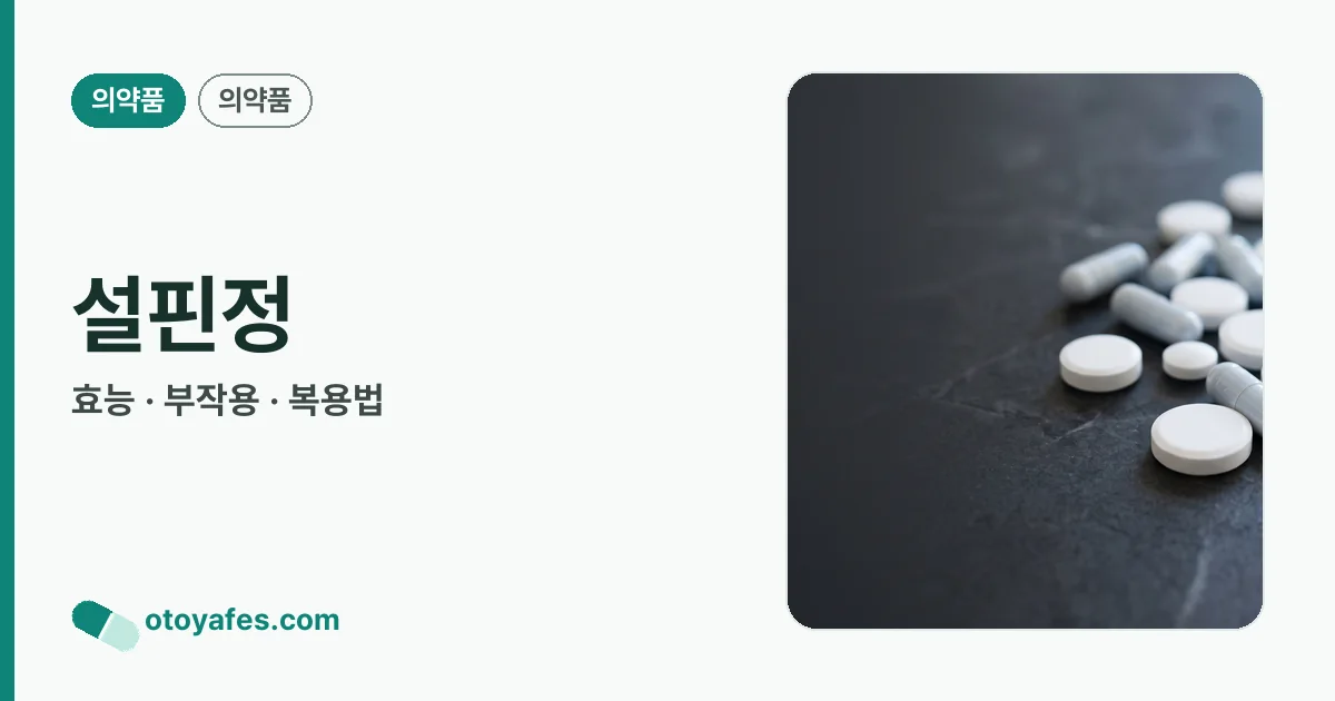 설핀정 정리 썸네일