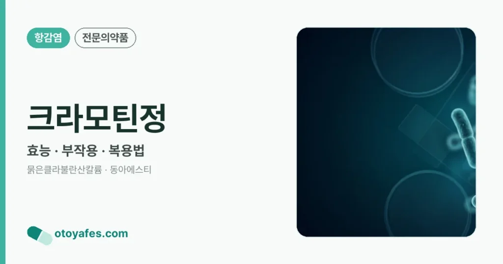 크라모틴정 정리 썸네일