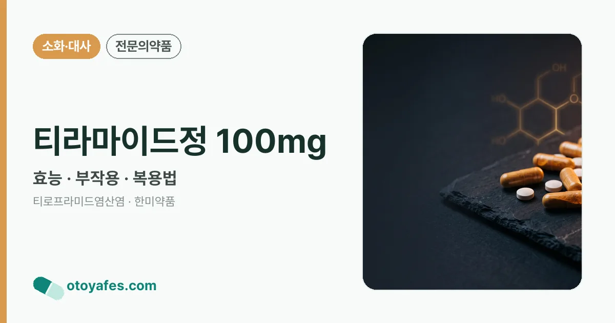 티라마이드정 100mg 정리 썸네일