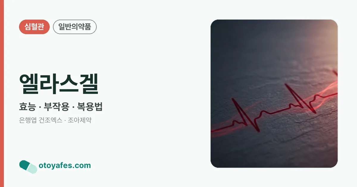 엘라스겔 정리 썸네일