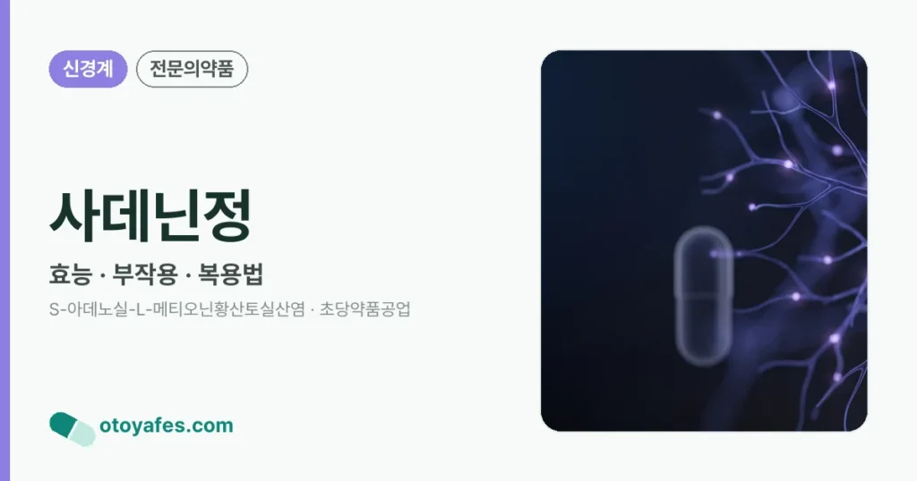 사데닌정 정리 썸네일