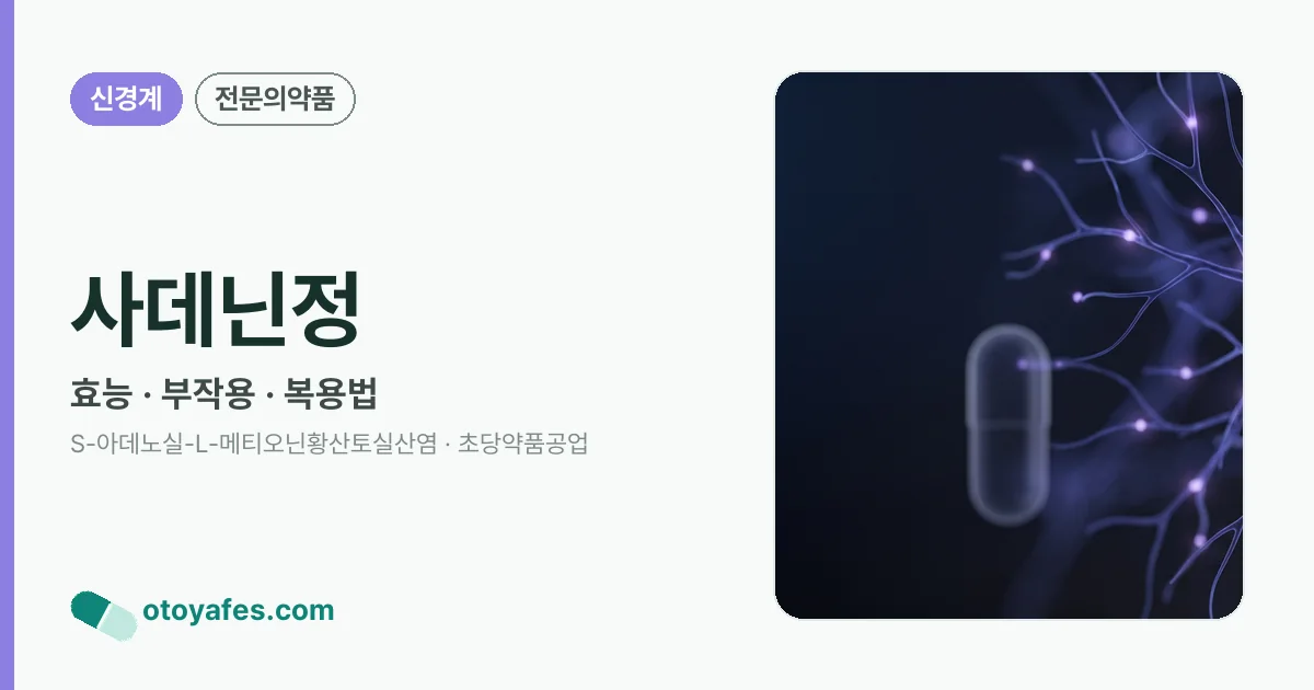 사데닌정 정리 썸네일