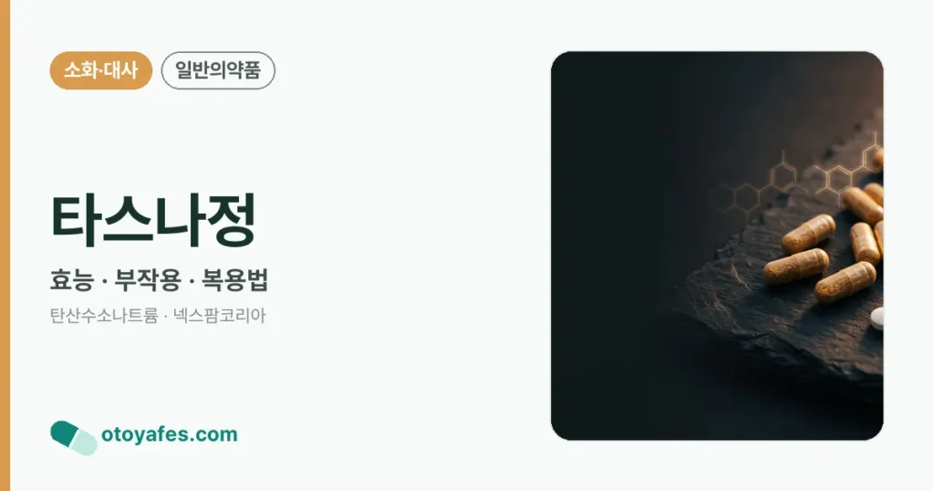 타스나정 정리 썸네일