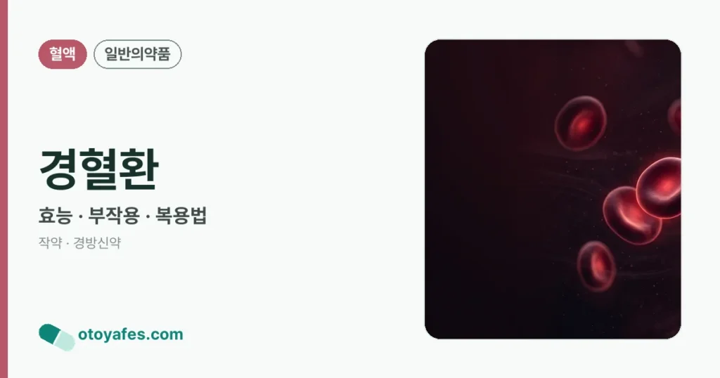 경혈환 정리 썸네일