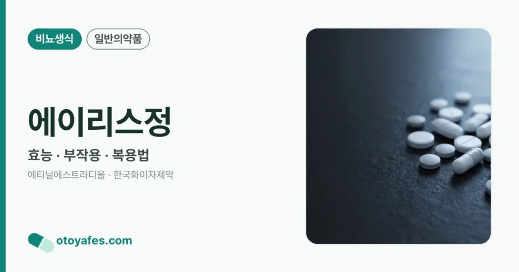 에이리스정 정리 썸네일