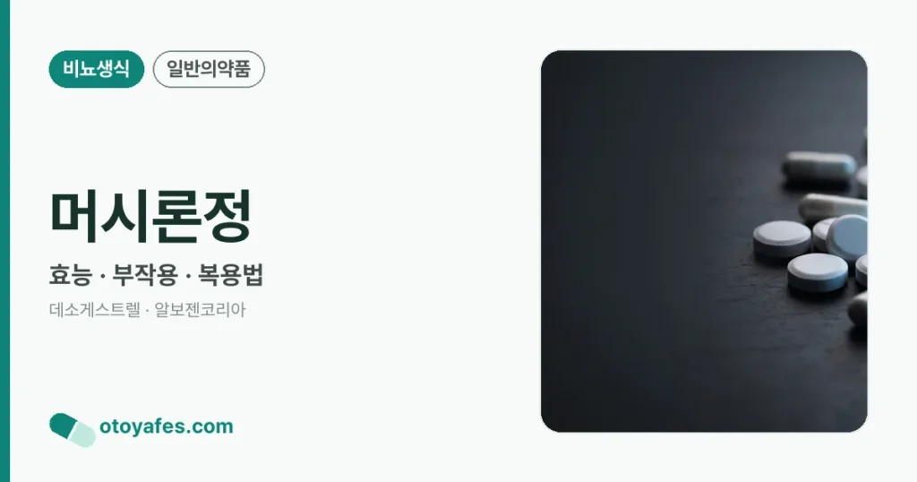 머시론정 정리 썸네일
