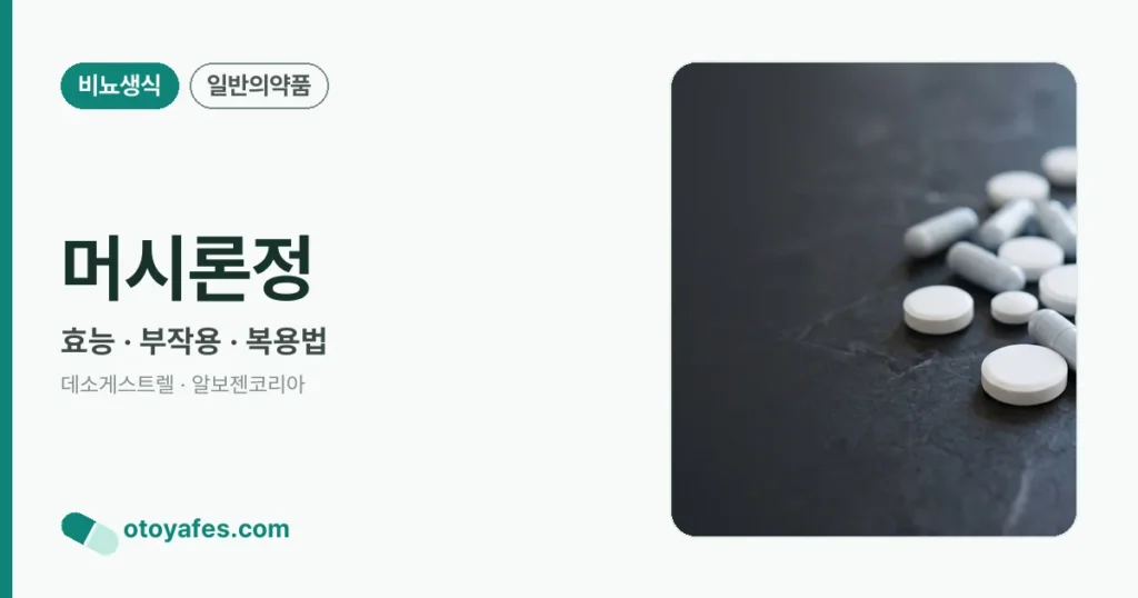 머시론정 정리 썸네일