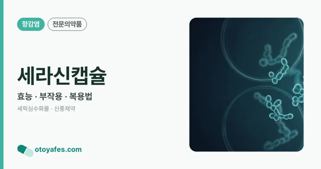 세라신캡슐 정리 썸네일