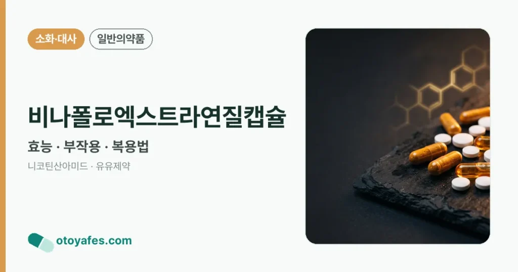 비나폴로엑스트라연질캡슐 정리 썸네일