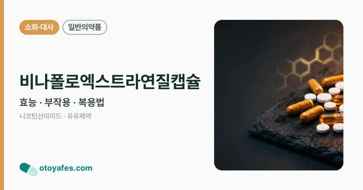 비나폴로엑스트라연질캡슐 정리 썸네일