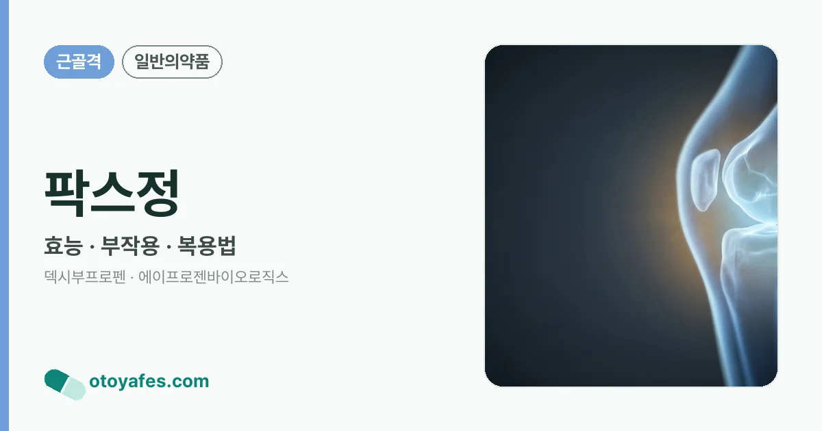 팍스정 정리 썸네일