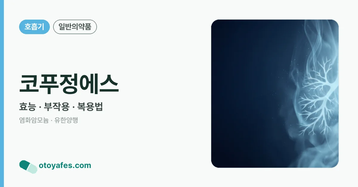 코푸정에스 정리 썸네일