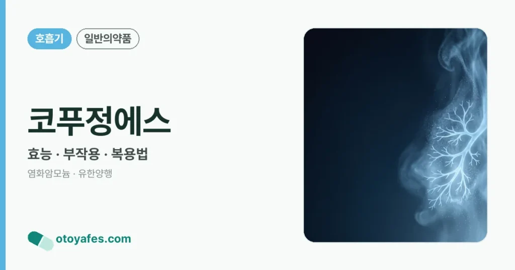 코푸정에스 정리 썸네일