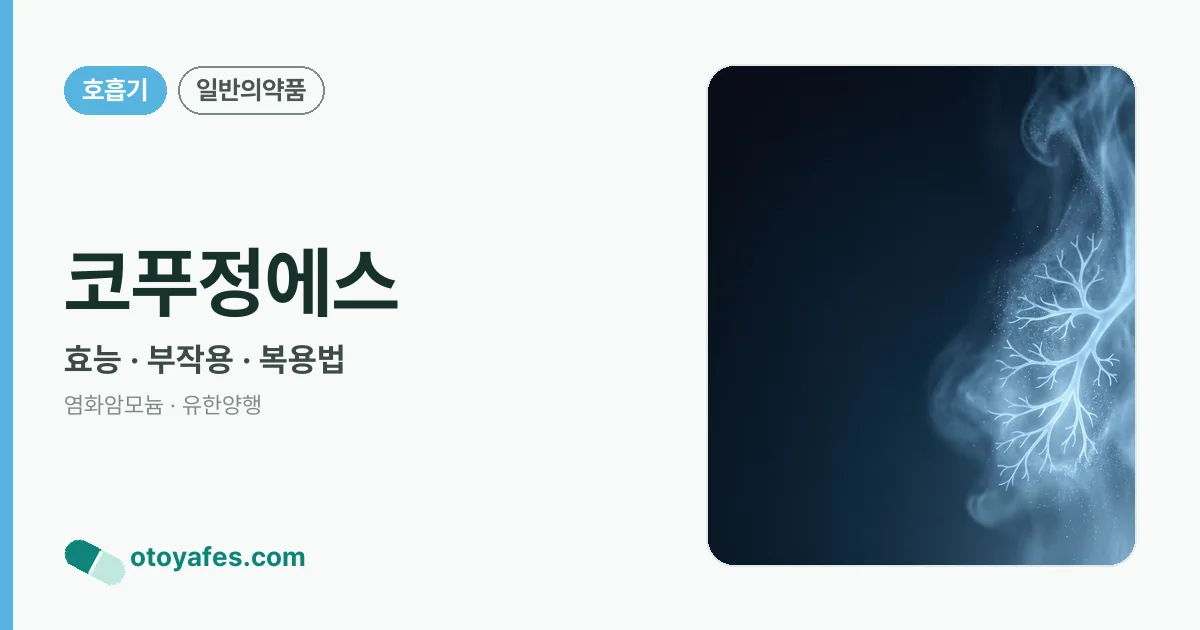 코푸정에스 정리 썸네일