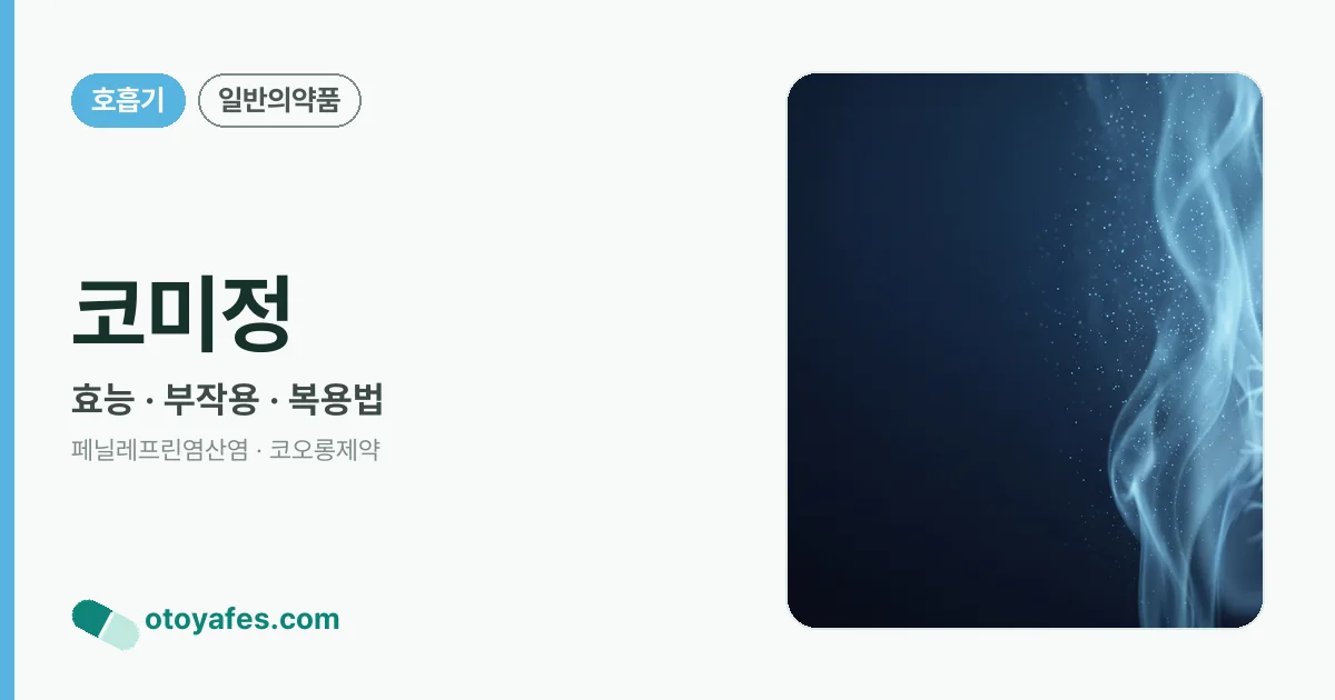 코미정 정리 썸네일