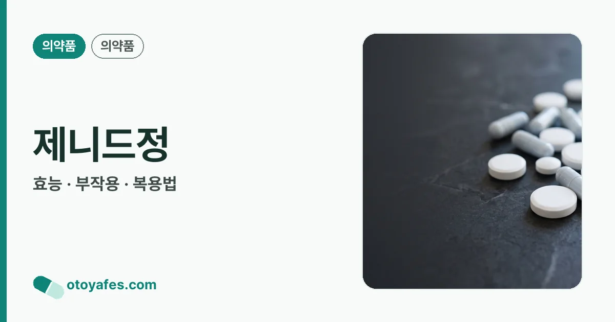 제니드정 정리 썸네일