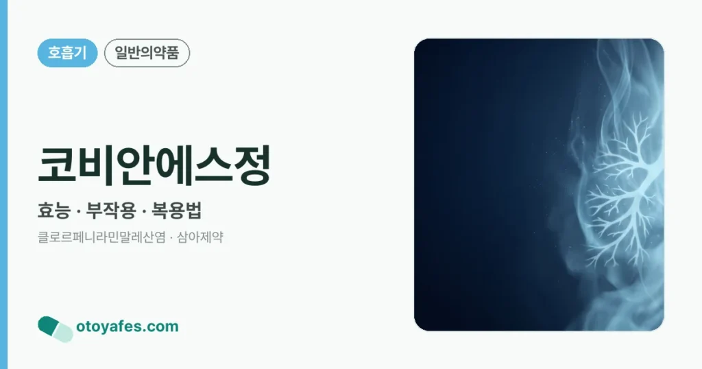 코비안에스정 정리 썸네일