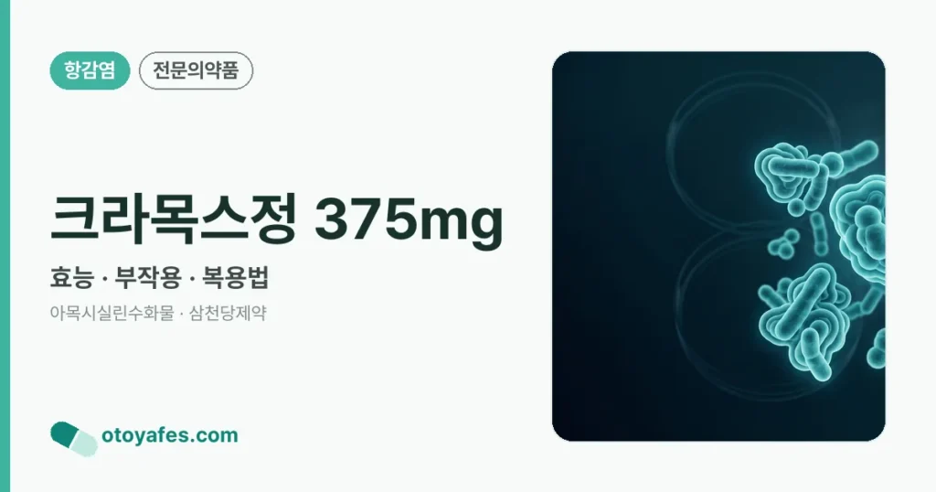 크라목스정 375mg 정리 썸네일