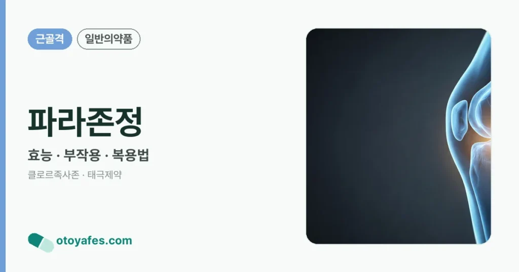 파라존정 정리 썸네일