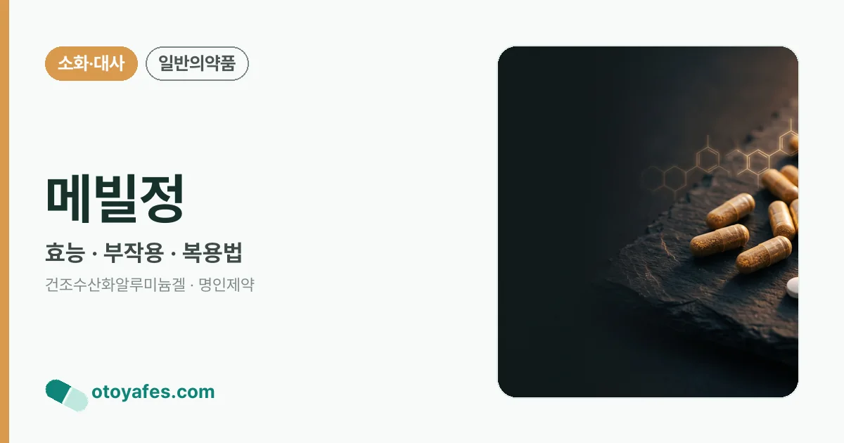 메빌정 정리 썸네일