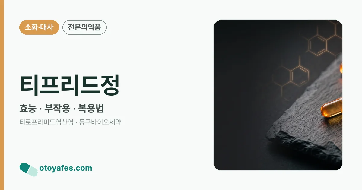 티프리드정 정리 썸네일