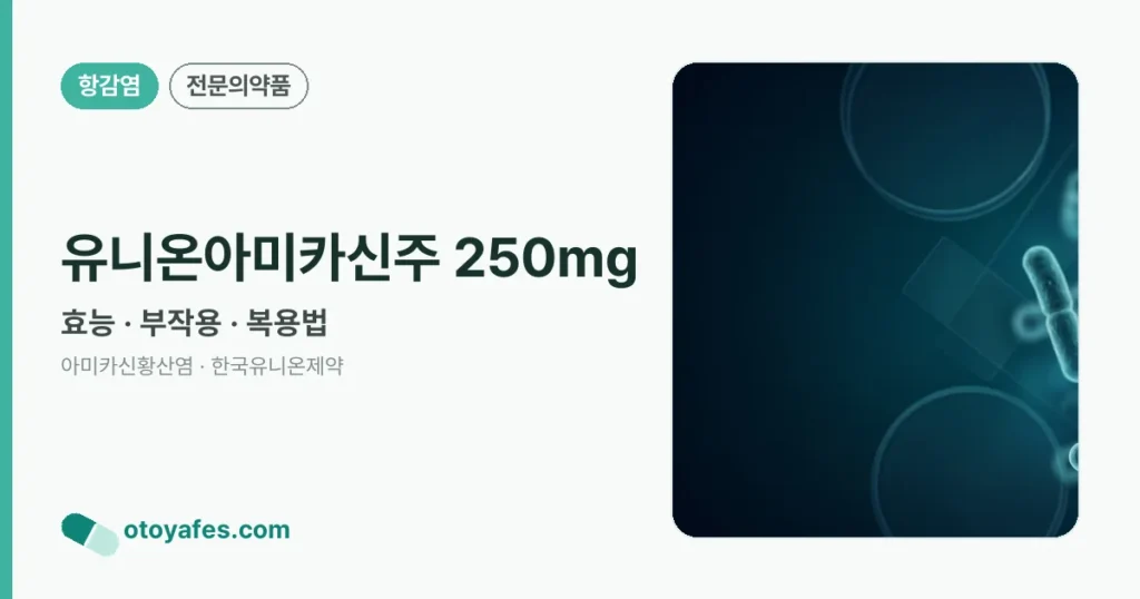 유니온아미카신주 250mg 정리 썸네일