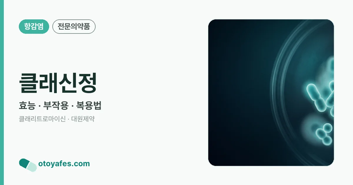 클래신정 정리 썸네일
