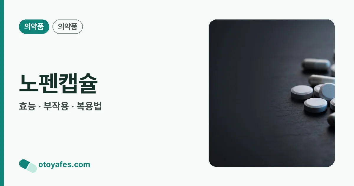 노펜캡슐 정리 썸네일