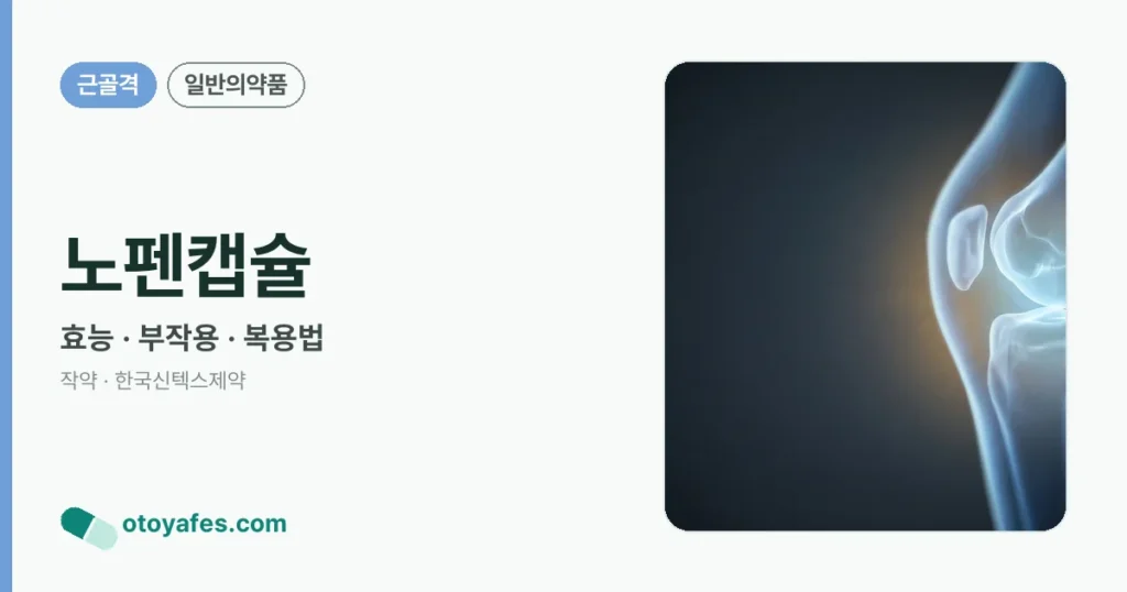 노펜캡슐 정리 썸네일