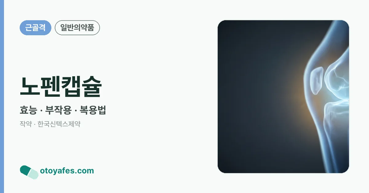 노펜캡슐 정리 썸네일