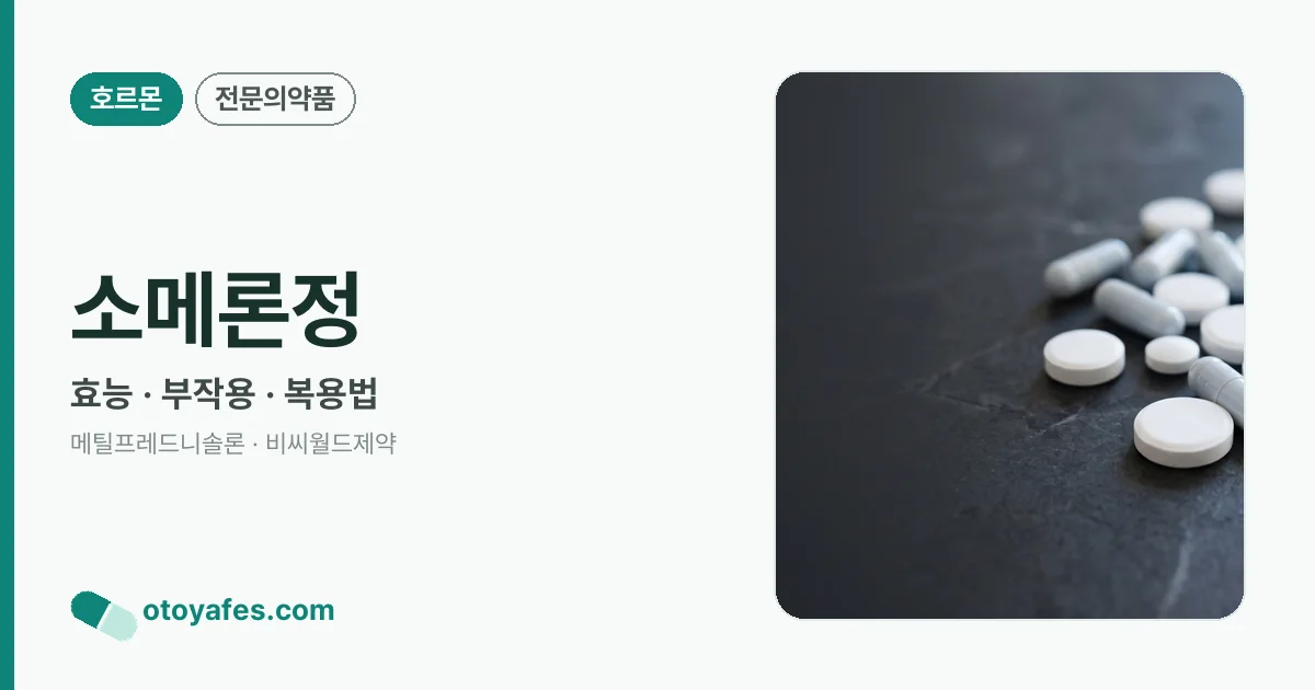 소메론정 정리 썸네일