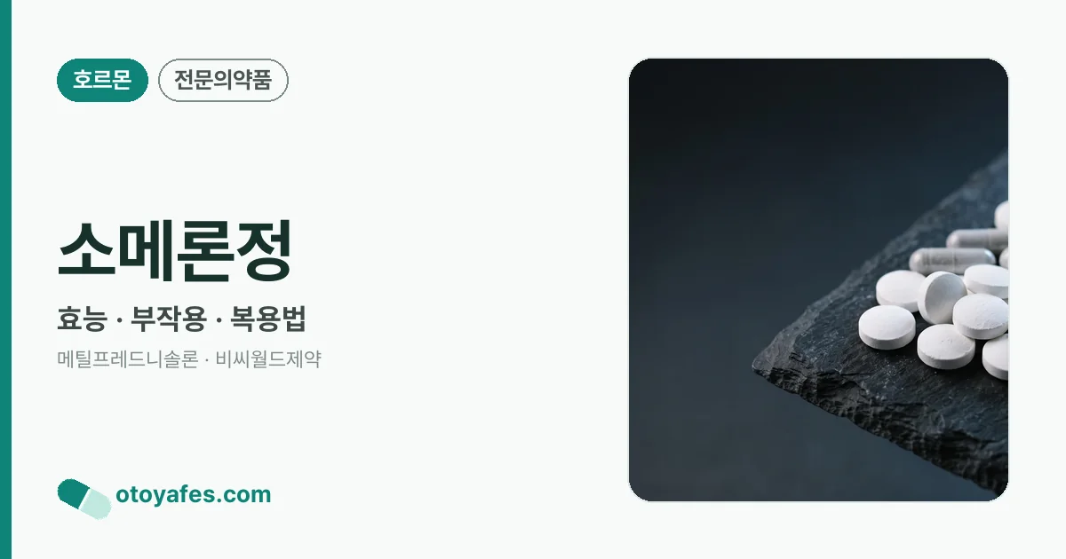 소메론정 정리 썸네일