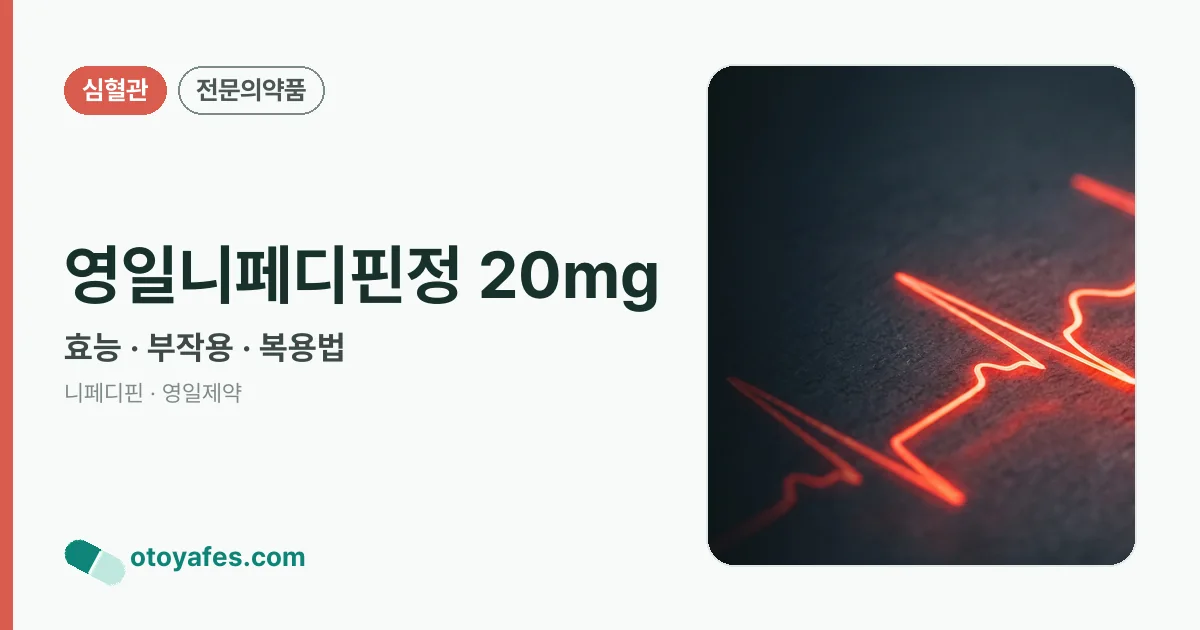 영일니페디핀정 20mg 정리 썸네일