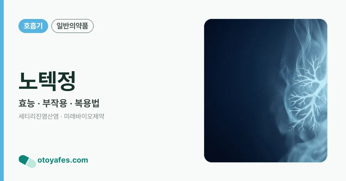 노텍정 정리 썸네일