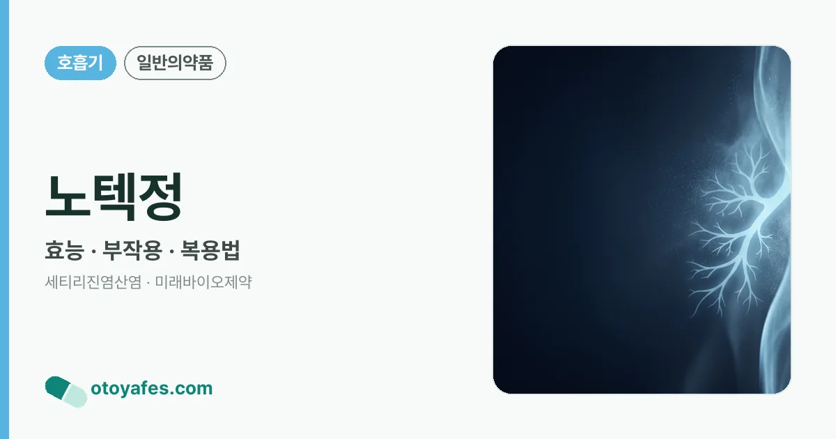 노텍정 정리 썸네일