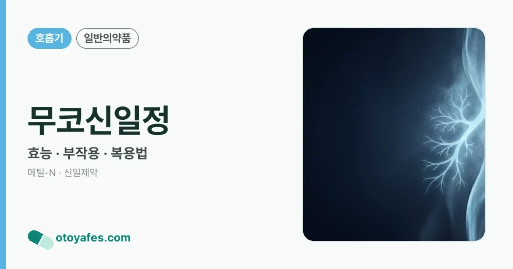 무코신일정 정리 썸네일