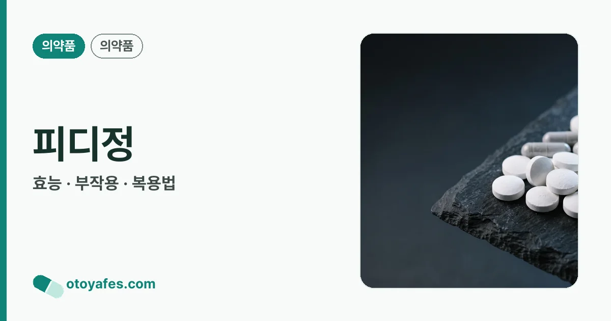 피디정 정리 썸네일