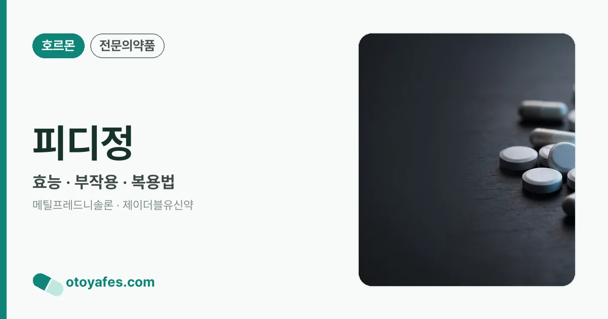 피디정 정리 썸네일