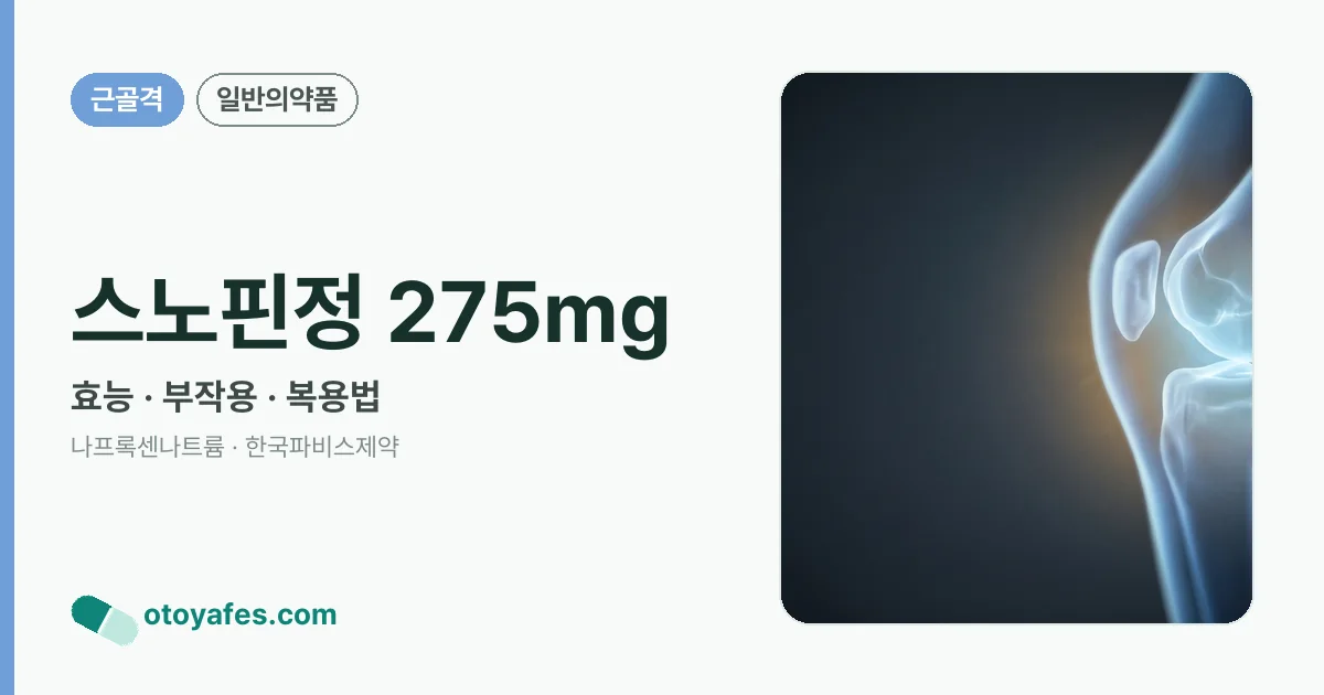 스노핀정 275mg 정리 썸네일