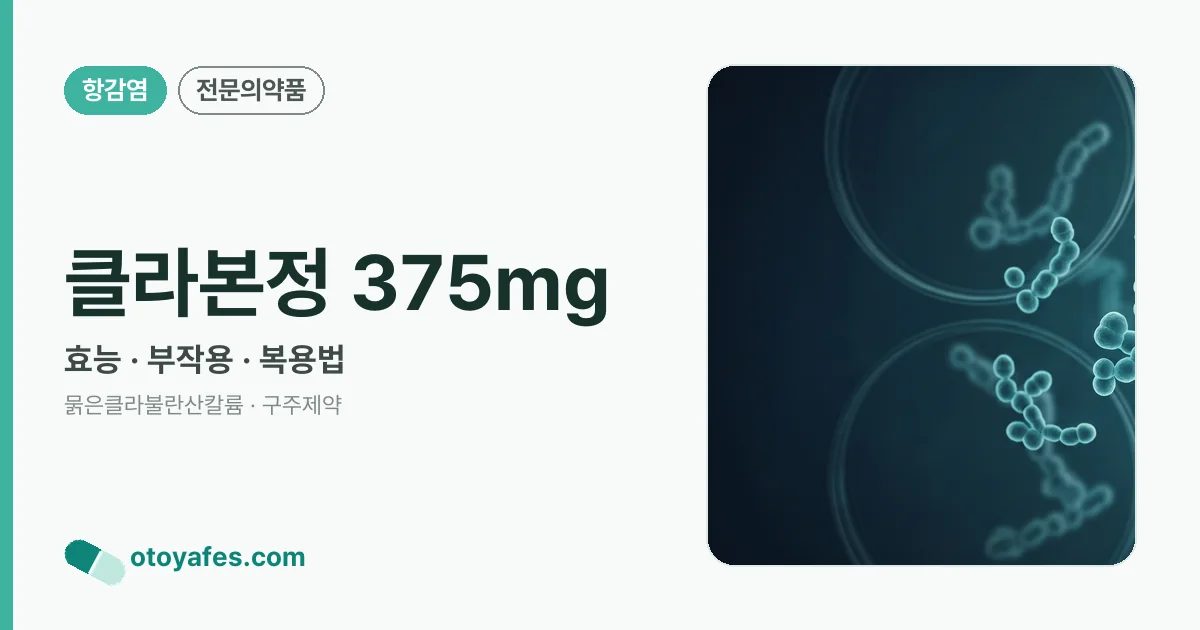 클라본정 375mg 정리 썸네일