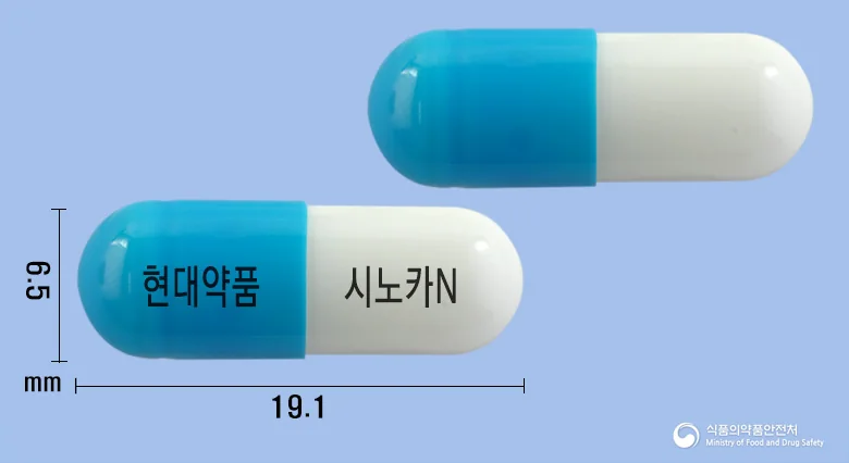 시노카엔캡슐 실물 사진