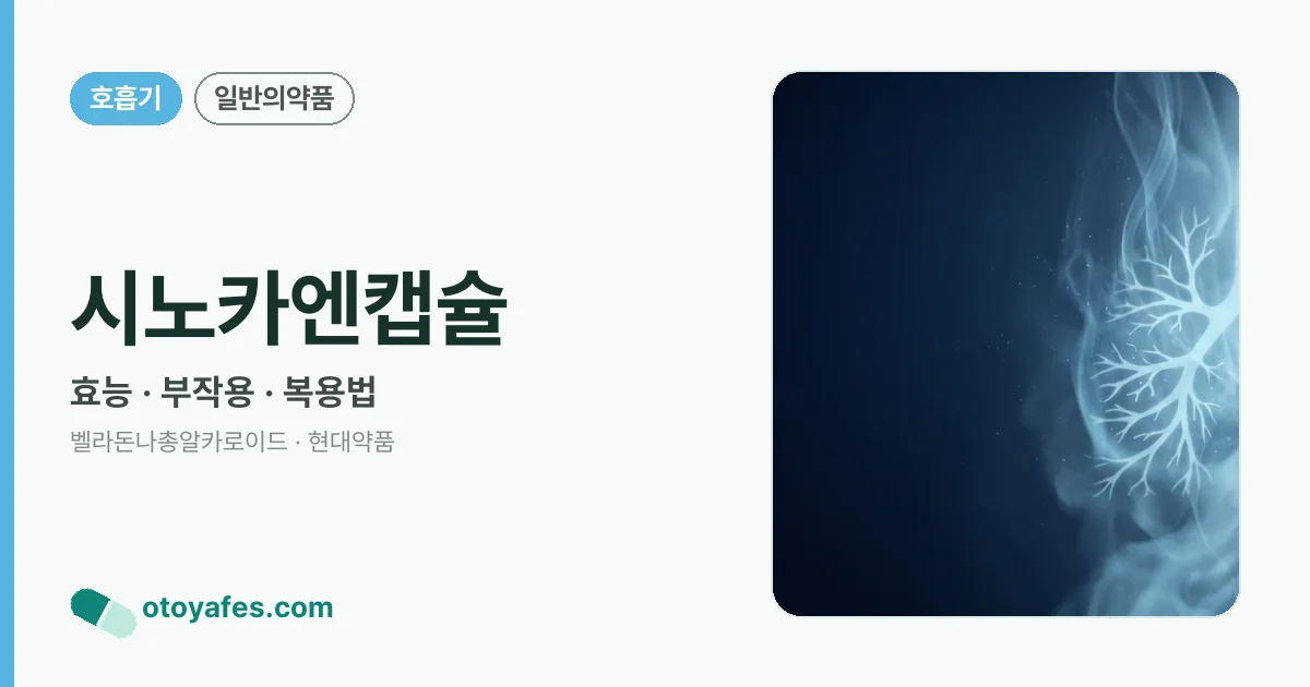 시노카엔캡슐 정리 썸네일