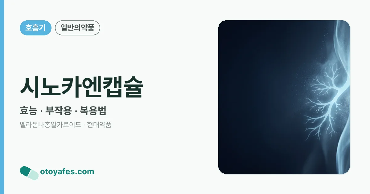 시노카엔캡슐 정리 썸네일