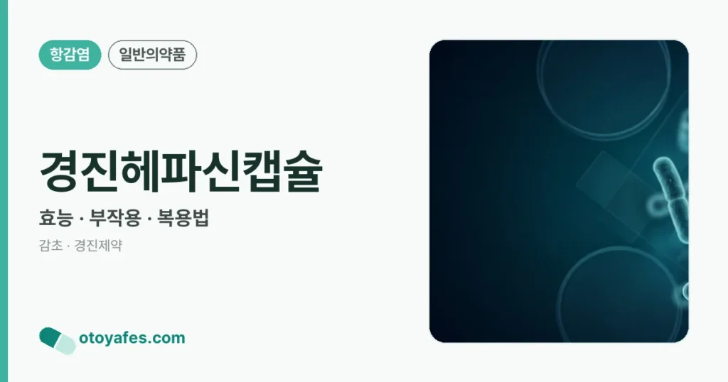 경진헤파신캡슐 정리 썸네일