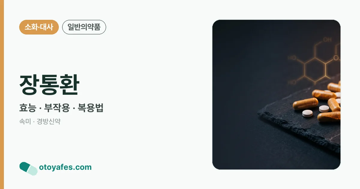장통환 정리 썸네일